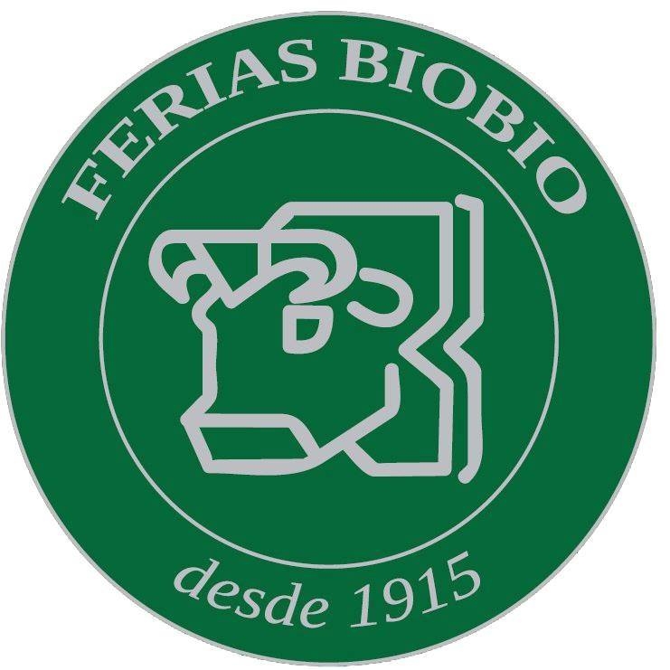 Logo Ferias Bio Bio